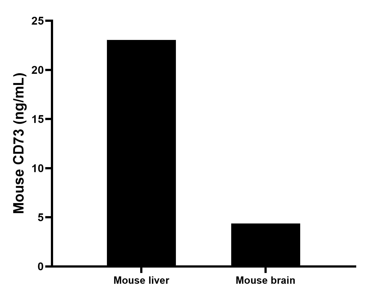 Mouse liver and brain tissue were rinsed with 1X PBS to remove excess blood, homogenized in 20 mL of 1X PBS and stored overnight at ≤ -20 °C. Homogenates were thawed and centrifuged for 5 minutes at 5000 x g. Homogenates were assayed for mouse CD73 and measured 23.05 ng/mL based on a 3.3 mg/mL homogenate load, and 4.37 ng/mL based on a 2.2 mg/mL homogenate load, respectively.