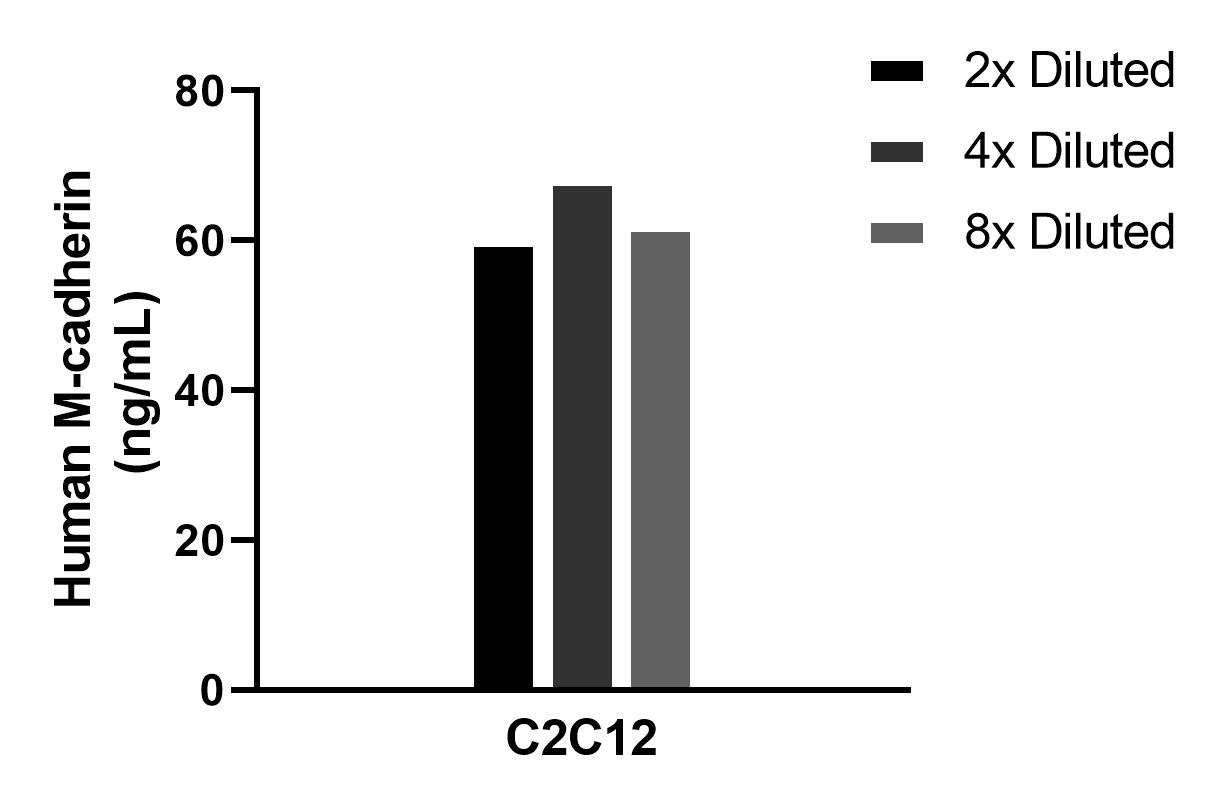 The mean M-cadherin concentration was determined to be 63.4 ng/mL in C2C12 cell extract based on a 3.0 mg/mL extract load. The mean M-cadherin concentration was determined to be 63.4 ng/mL in C2C12 cell extract based on a 3.0 mg/mL extract load.