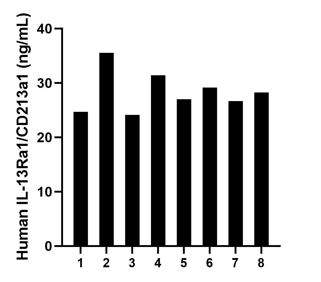 Serum of eight individual healthy human donors was measured. The IL-13Ra1/CD213a1 concentration of detected samples was determined to be 28.36 ng/mL with a range of 24.15-35.54 ng/mL. Serum of eight individual healthy human donors was measured. The IL-13Ra1/CD213a1 concentration of detected samples was determined to be 28.36 ng/mL with a range of 24.15-35.54 ng/mL.