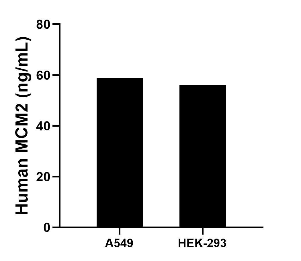 Sample test of MP01392-2