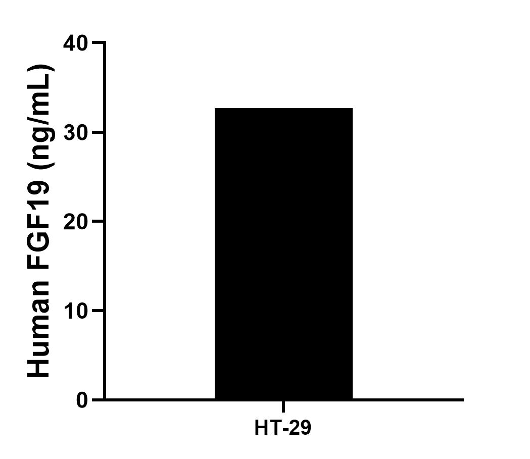 HT-29 cells were cultured in DMEM supplemented with 10% fetal bovine serum, 2.5 mM L-glutamine, 100 U/mL penicillin, and 100 μg/mL streptomycin sulfate. An aliquot of the cell culture supernate was removed, assayed for human FGF19, and measured 32.7 ng/mL.