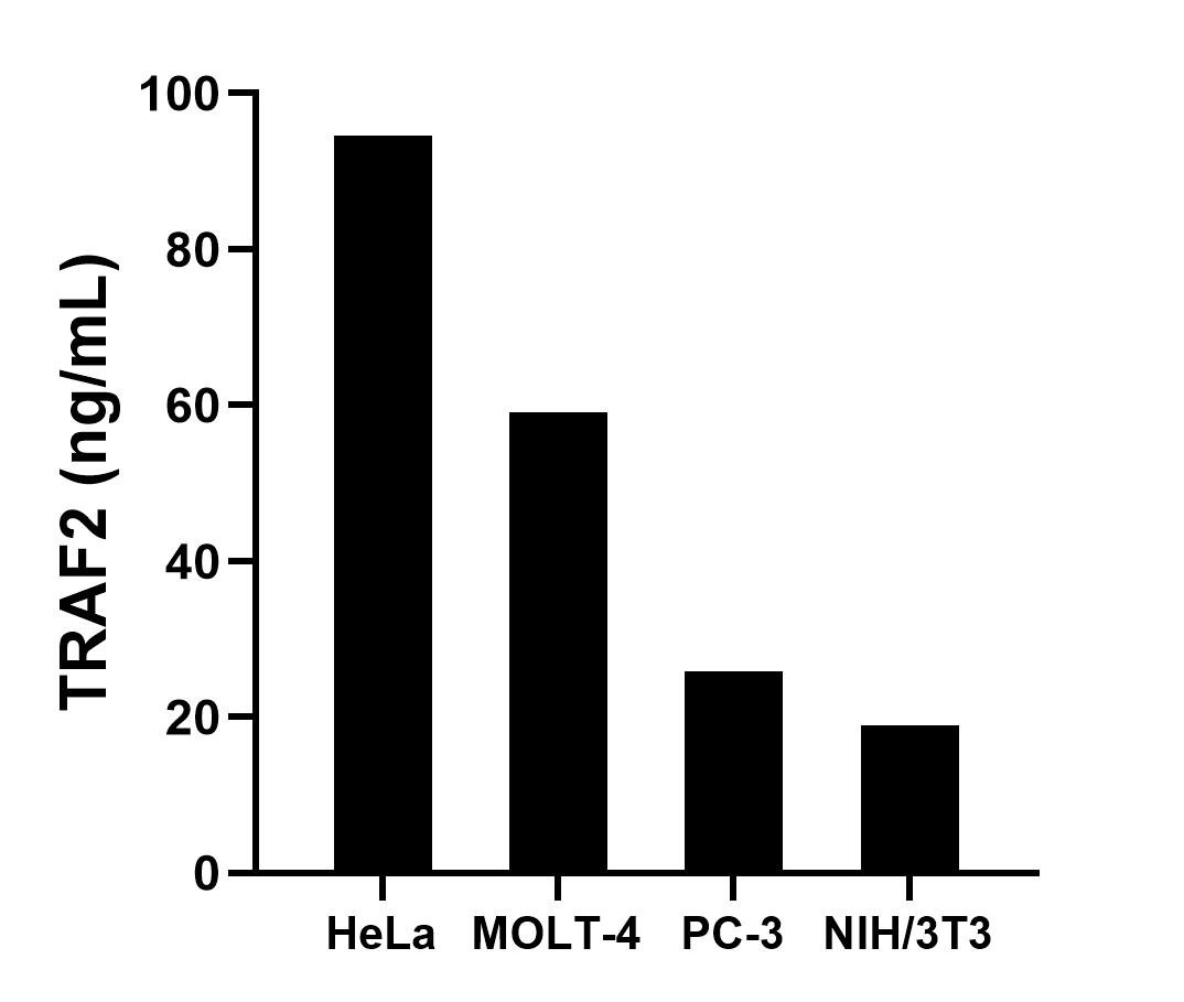 Sample test of MP01404-2