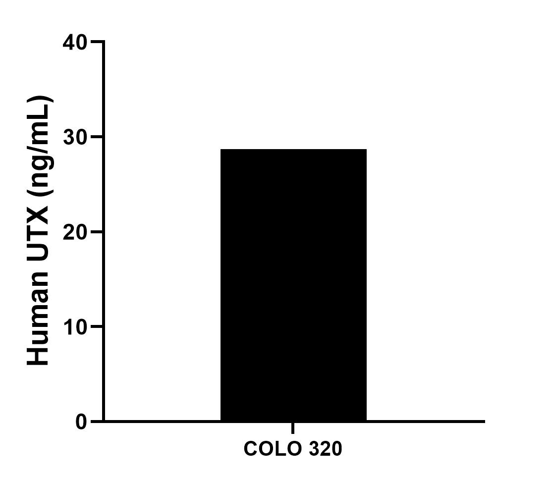 Sample test of MP01453-1