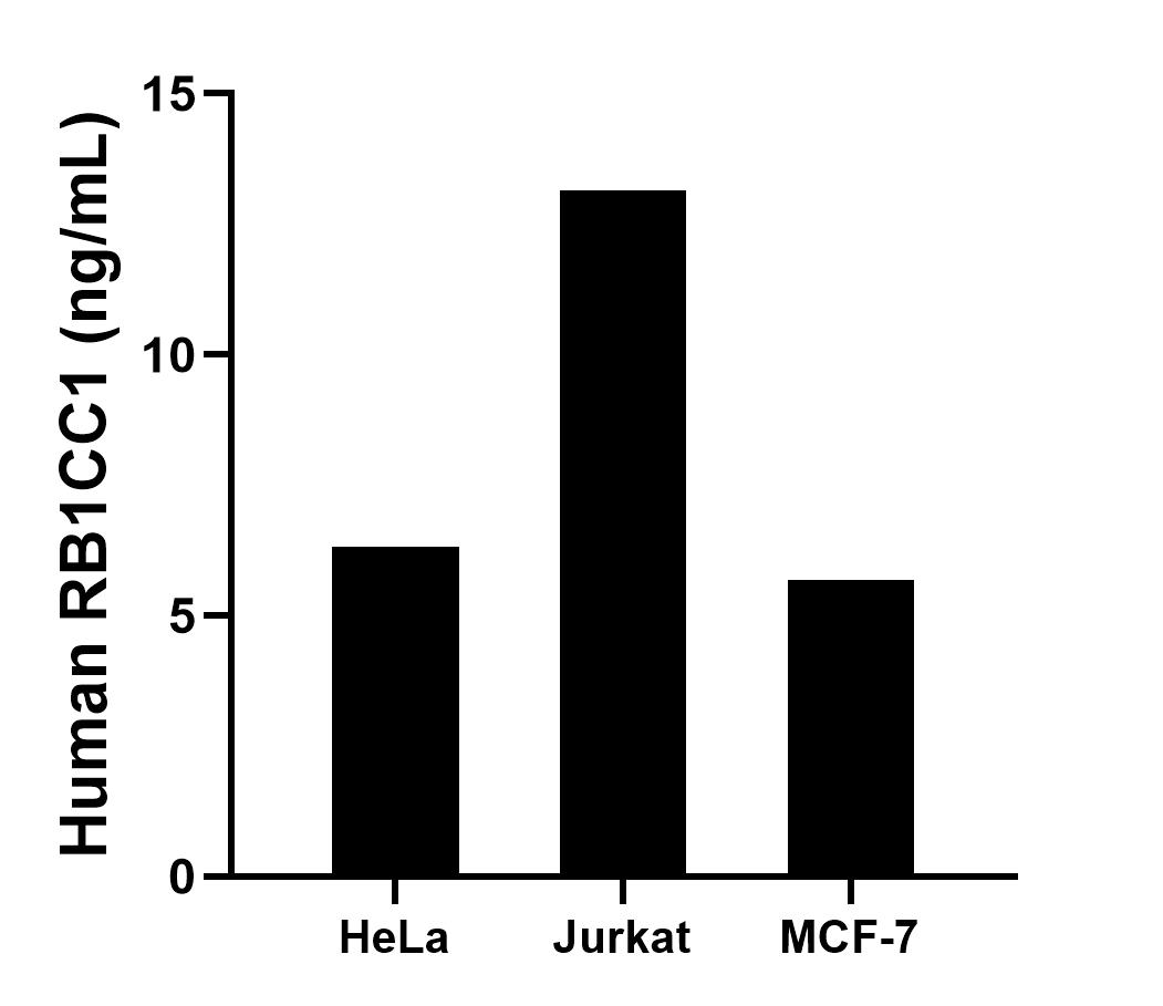 Sample test of MP01563-1