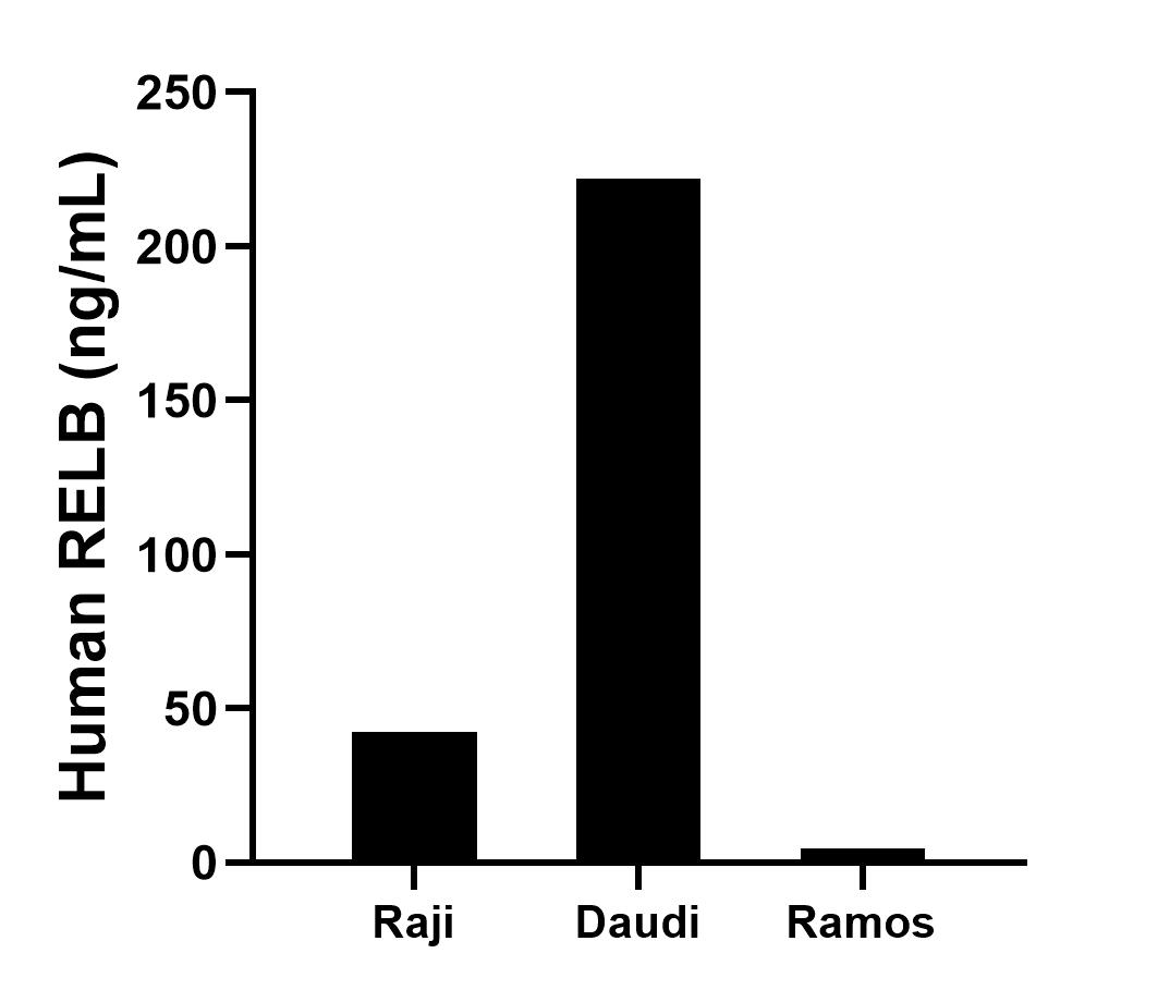 Sample test of MP01583-1