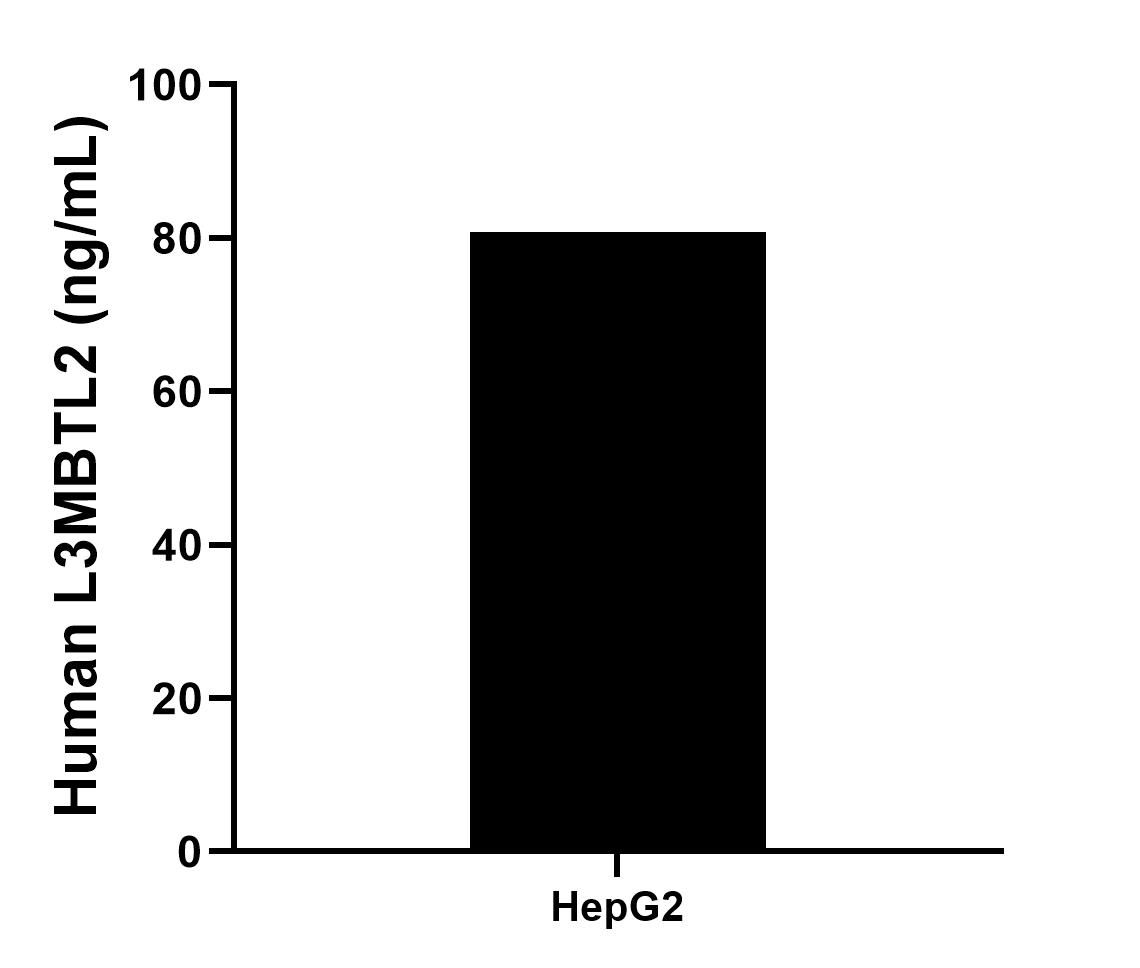 Sample test of MP01585-1