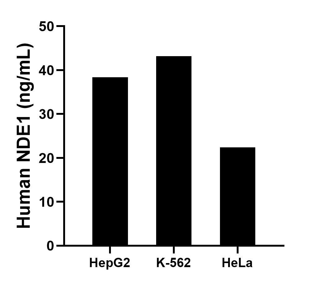 Sample test of MP01589-1