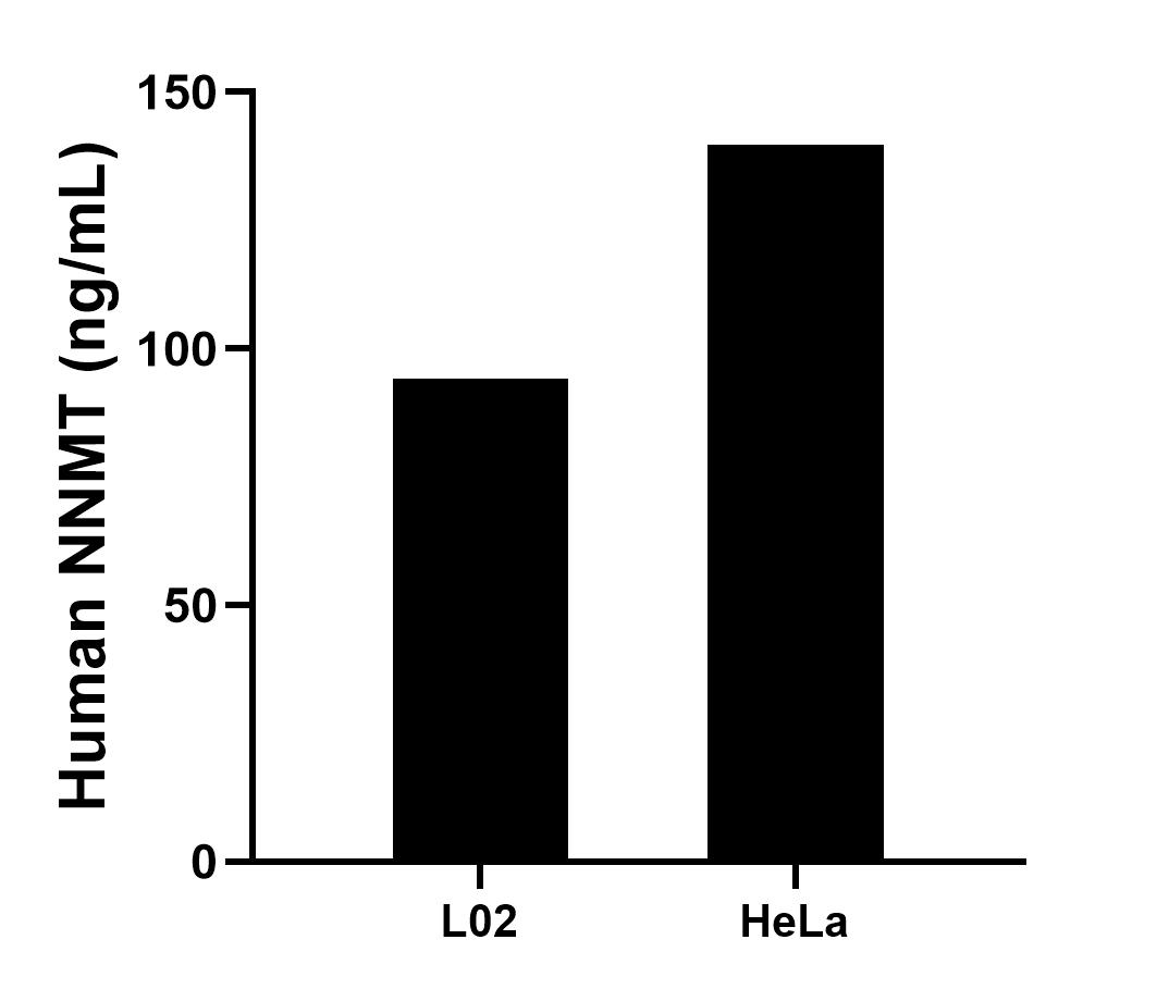 Sample test of MP01628-3