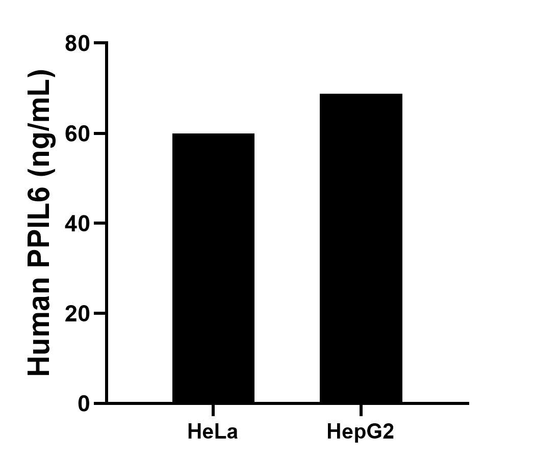 Sample test of MP01635-2