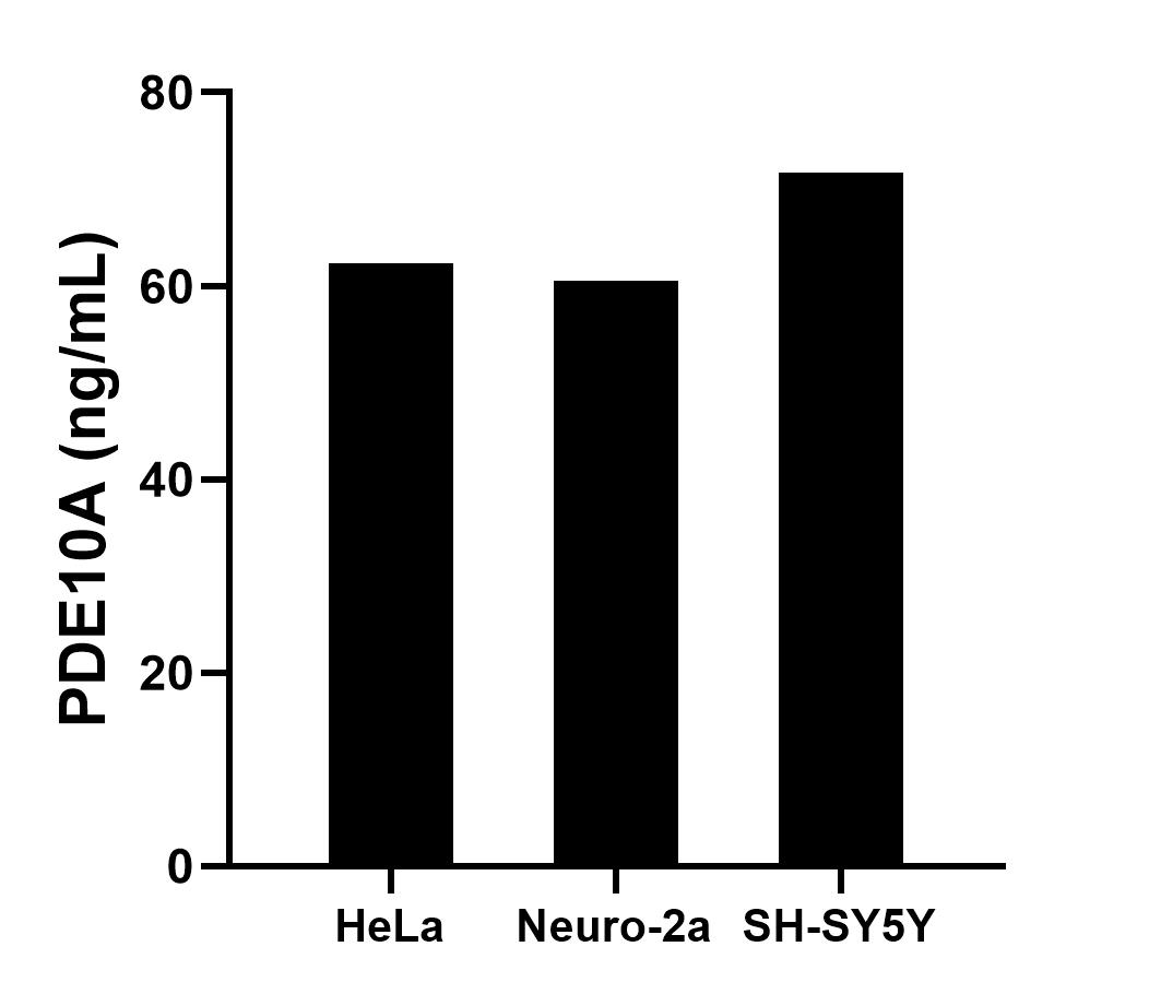 Sample test of MP01645-2