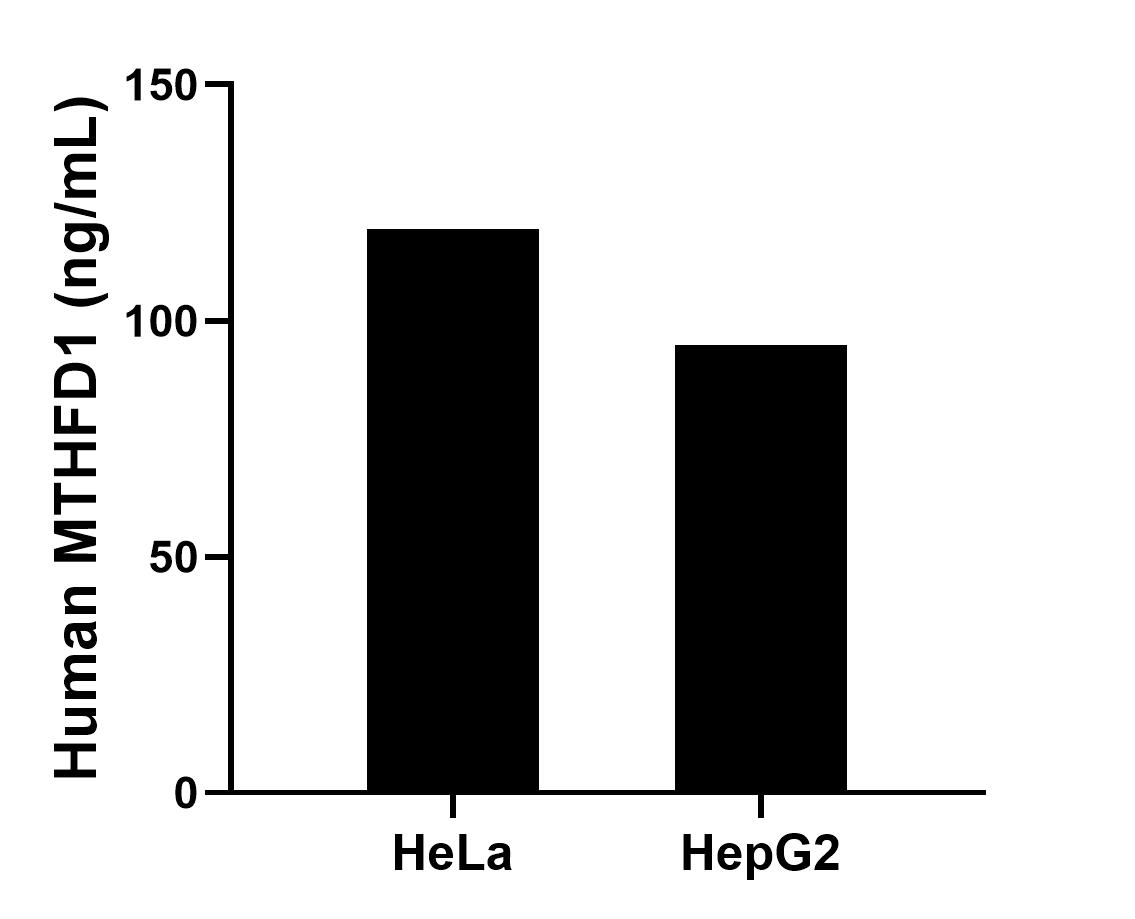 Sample test of MP01654-3