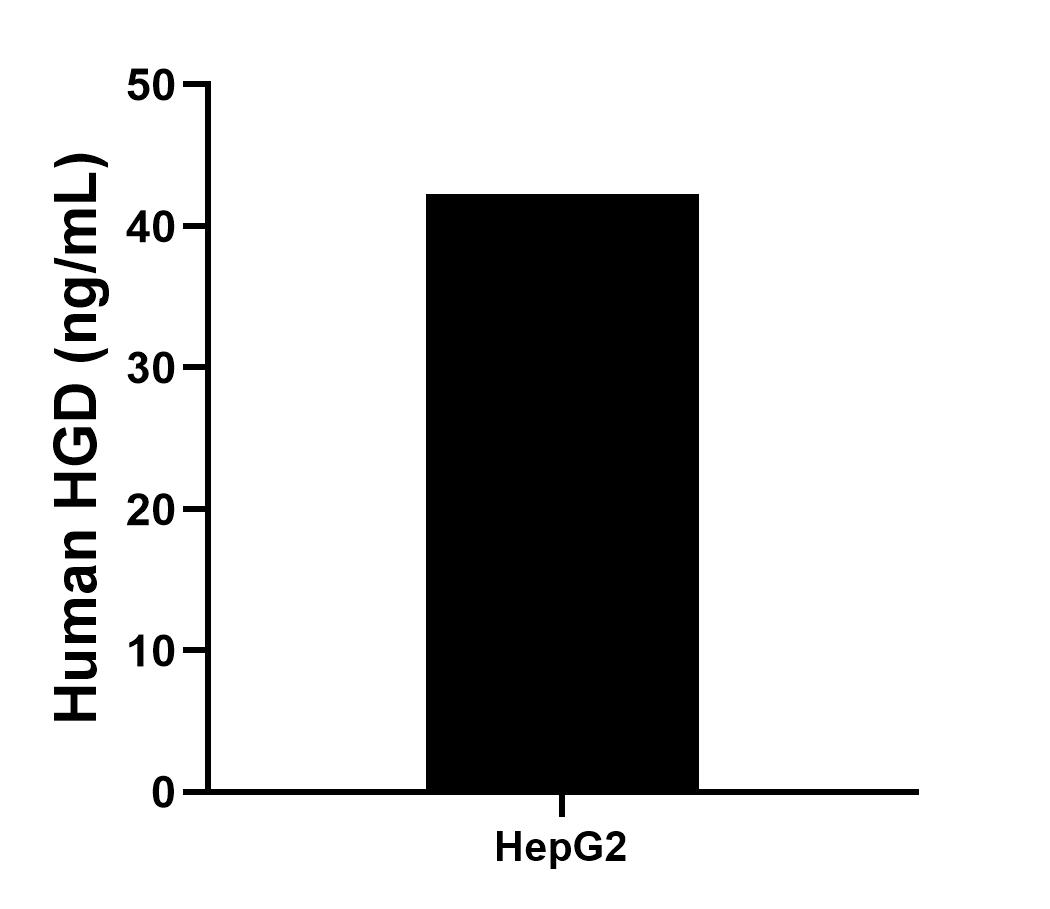 Sample test of MP01681-3