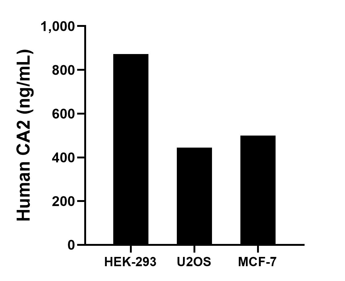 Sample test of MP01702-2