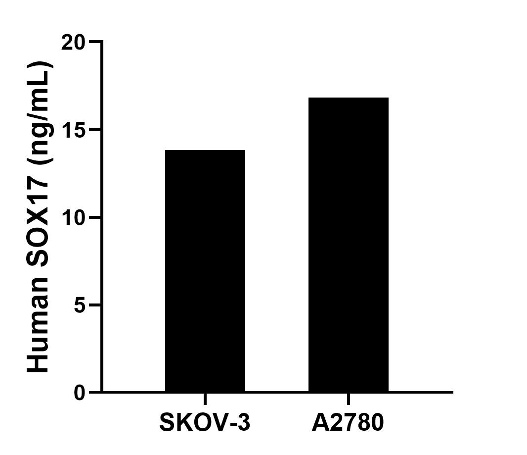 Sample test of MP01724-2