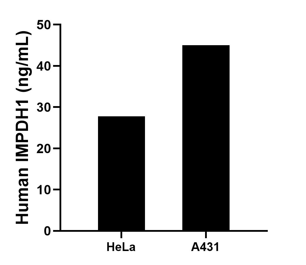 Sample test of MP01726-1