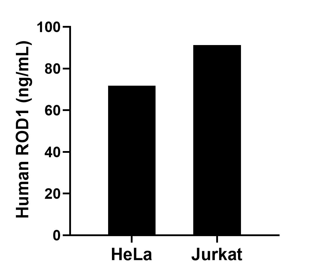 Sample test of MP01782-2