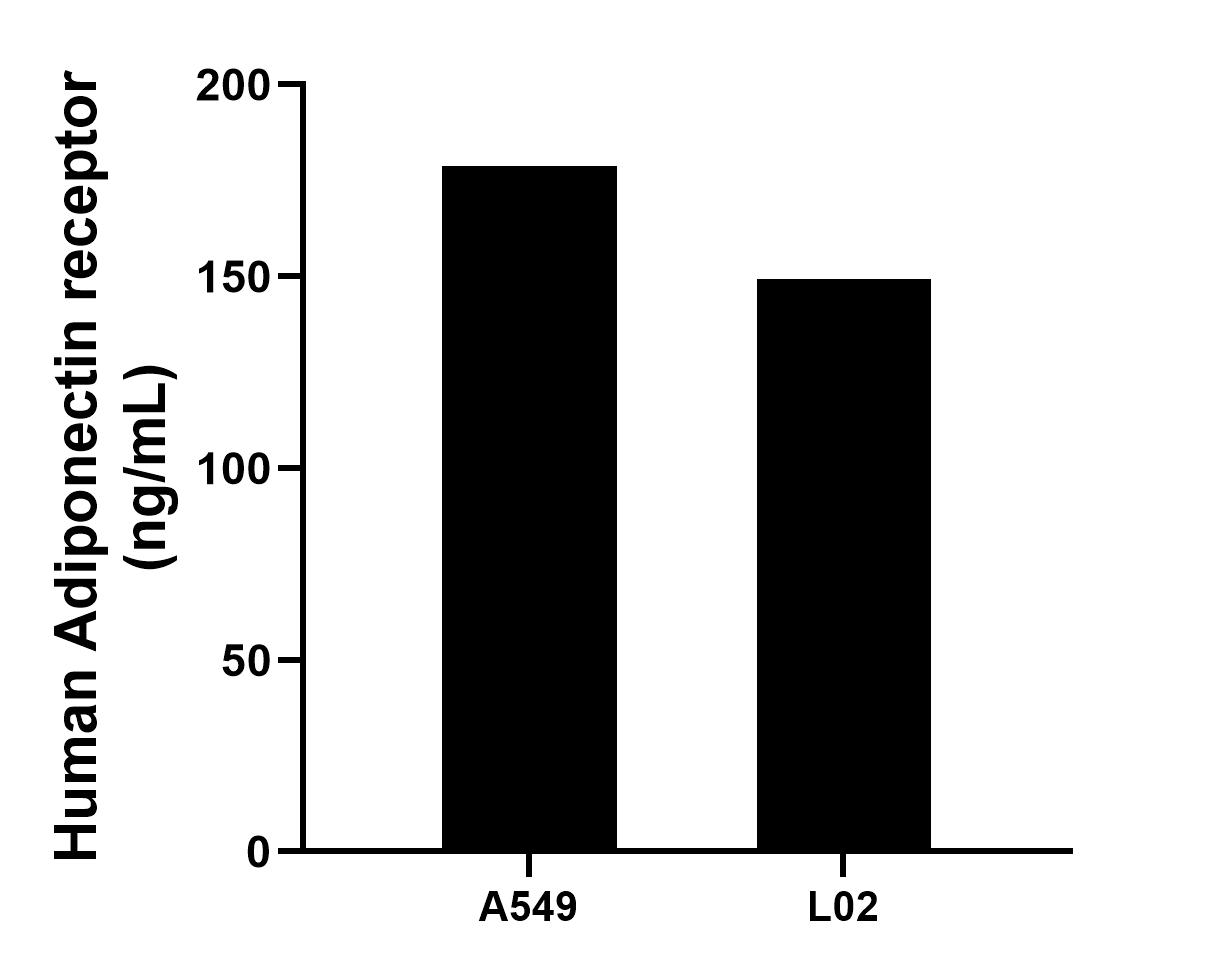 ADIPOR2 Antibody Sample test Standard 85121-1-PBS