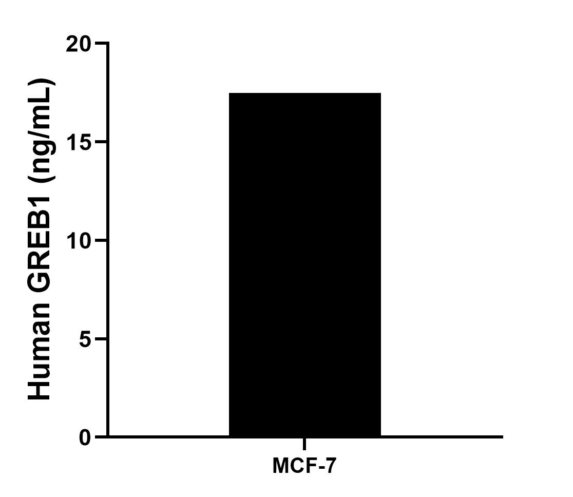 The mean GREB1 concentration was determined to be 17.48 ng/mL in MCF-7 cell extract based on a 3.5 mg/mL extract load. The mean GREB1 concentration was determined to be 17.48 ng/mL in MCF-7 cell extract based on a 3.5 mg/mL extract load.