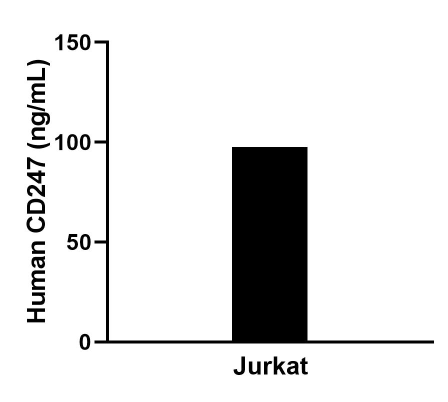 The mean CD247 concentration was determined to be 99.2 ng/mL in Jurkat cell extract based on a 1.2 mg/mL extract load. The mean CD247 concentration was determined to be 99.2 ng/mL in Jurkat cell extract based on a 1.2 mg/mL extract load.