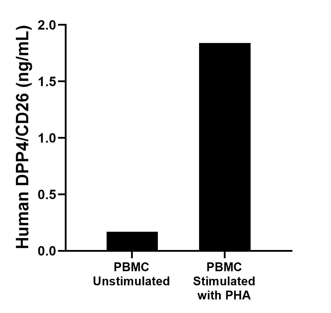 Human peripheral blood mononuclear cells (PBMC) were cultured unstimulated or stimulated with 10 μg/mL PHA for 5 days. The mean DPP4/CD26 concentration was determined to be 0.17 ng/mL in unstimulated PBMC supernatant, 1.84 ng/mL in PHA stimulated PBMC supernatant. Human peripheral blood mononuclear cells (PBMC) were cultured unstimulated or stimulated with 10 μg/mL PHA for 5 days. The mean DPP4/CD26 concentration was determined to be 0.17 ng/mL in unstimulated PBMC supernatant, 1.84 ng/mL in PHA stimulated PBMC supernatant.