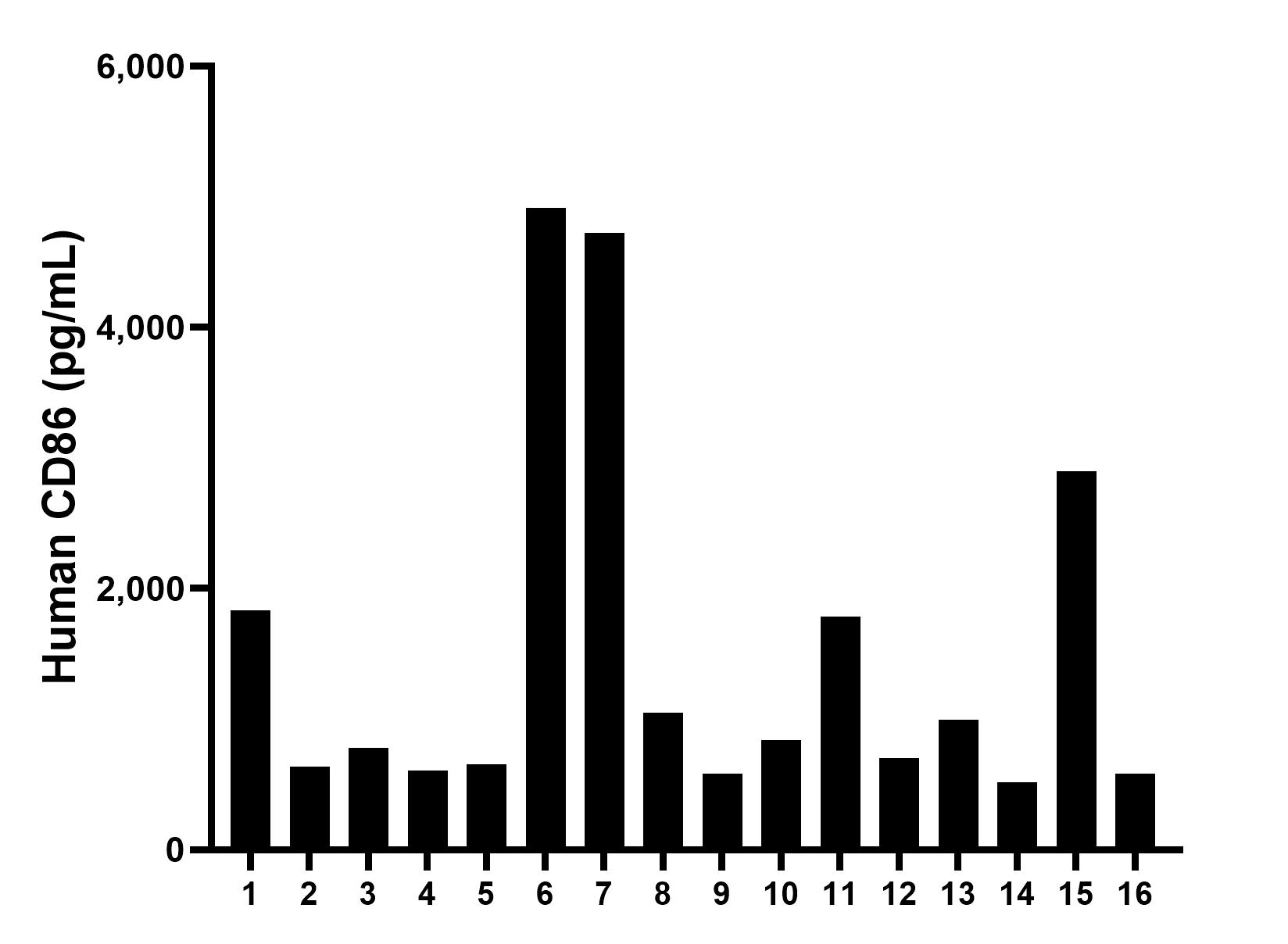 Serum of sixteen individual healthy human donors was measured. The human CD86 concentration of detected samples was determined to be 1,506.0 pg/mL with a range of 516.7 - 4,914.5 pg/mL. Serum of sixteen individual healthy human donors was measured. The human CD86 concentration of detected samples was determined to be 1,506.0 pg/mL with a range of 516.7 - 4,914.5 pg/mL.