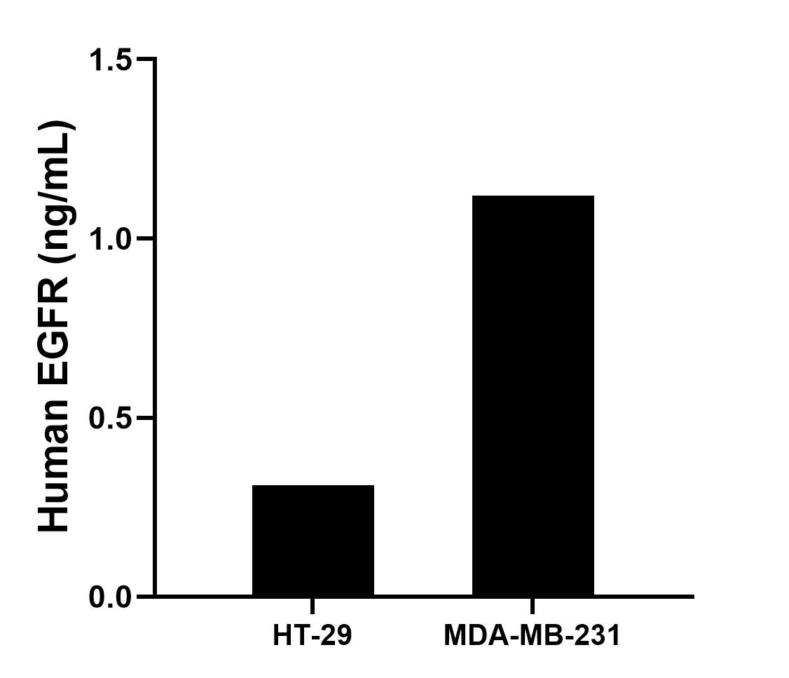 HT-29 and MDA-MB-231 were cultured in RPMI-1640 supplemented with 10% fetal bovine serum, 100 U/mL penicillin and 100 μg/mL streptomycin sulfate. An aliquot of the culture supernates were removed, assayed for human IDO1, and measured 0.31 ng/mL and 1.12 ng/mL. HT-29 and MDA-MB-231 were cultured in RPMI-1640 supplemented with 10% fetal bovine serum, 100 U/mL penicillin and 100 μg/mL streptomycin sulfate. An aliquot of the culture supernates were removed, assayed for human IDO1, and measured 0.31 ng/mL and 1.12 ng/mL.