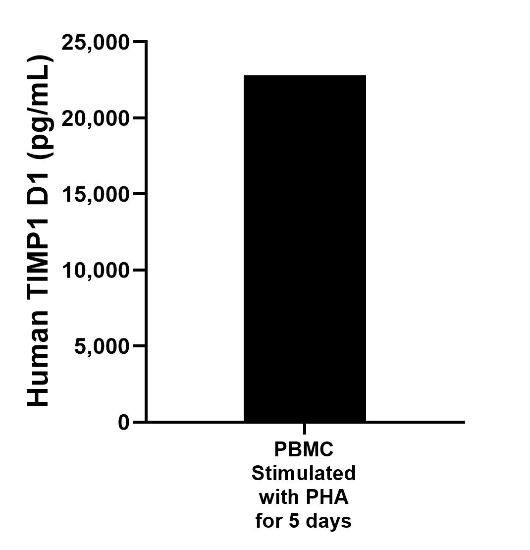 Human peripheral blood mononuclear cells (PBMC) were cultured stimulated with 10 μg/mL PHA for 5 days. The mean TIMP1 concentration was determined to be 22,788.1 pg/mL in PHA stimulated PBMC supernatant. Human peripheral blood mononuclear cells (PBMC) were cultured stimulated with 10 μg/mL PHA for 5 days. The mean TIMP1 concentration was determined to be 22,788.1 pg/mL in PHA stimulated PBMC supernatant.