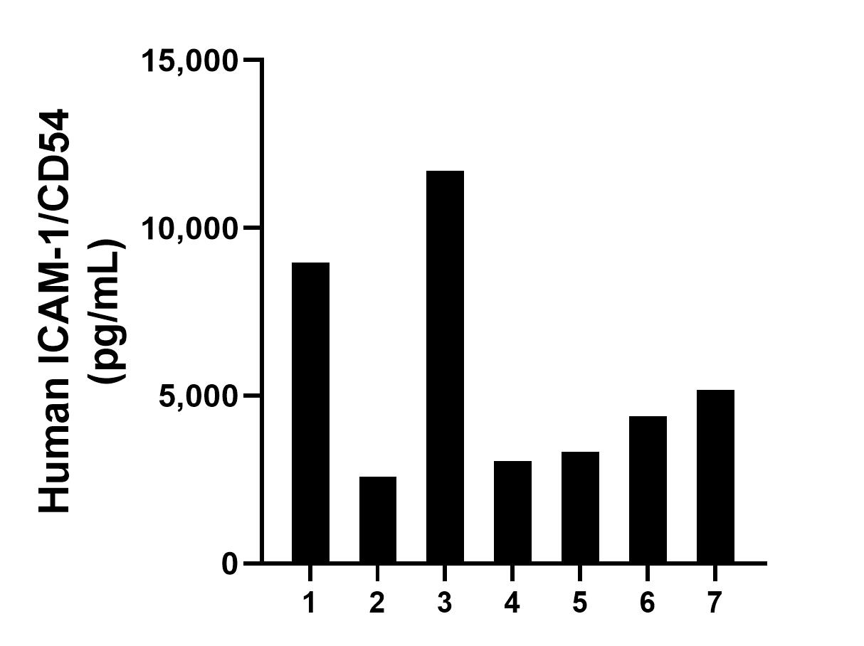 Saliva of seven individual healthy human donors was measured. The human ICAM-1/CD54 concentration of detected samples was determined to be 5,597.4 pg/mL with a range of 2,577.6 - 11,698.1 pg/mL. Saliva of seven individual healthy human donors was measured. The human ICAM-1/CD54 concentration of detected samples was determined to be 5,597.4 pg/mL with a range of 2,577.6 - 11,698.1 pg/mL.