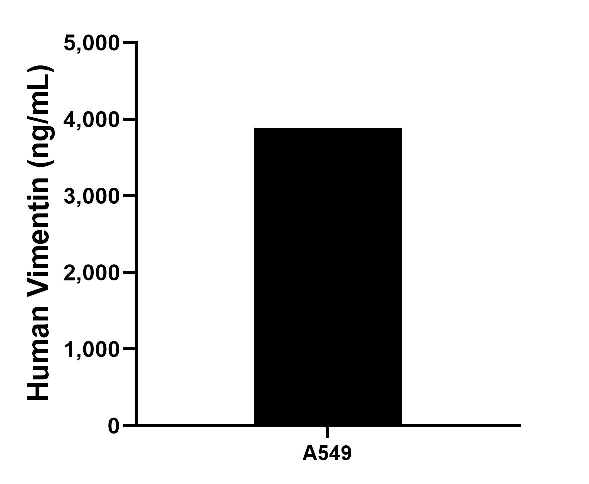 Sample test of MP50158-1