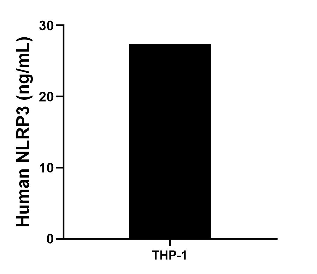 Sample test of MP50203-1