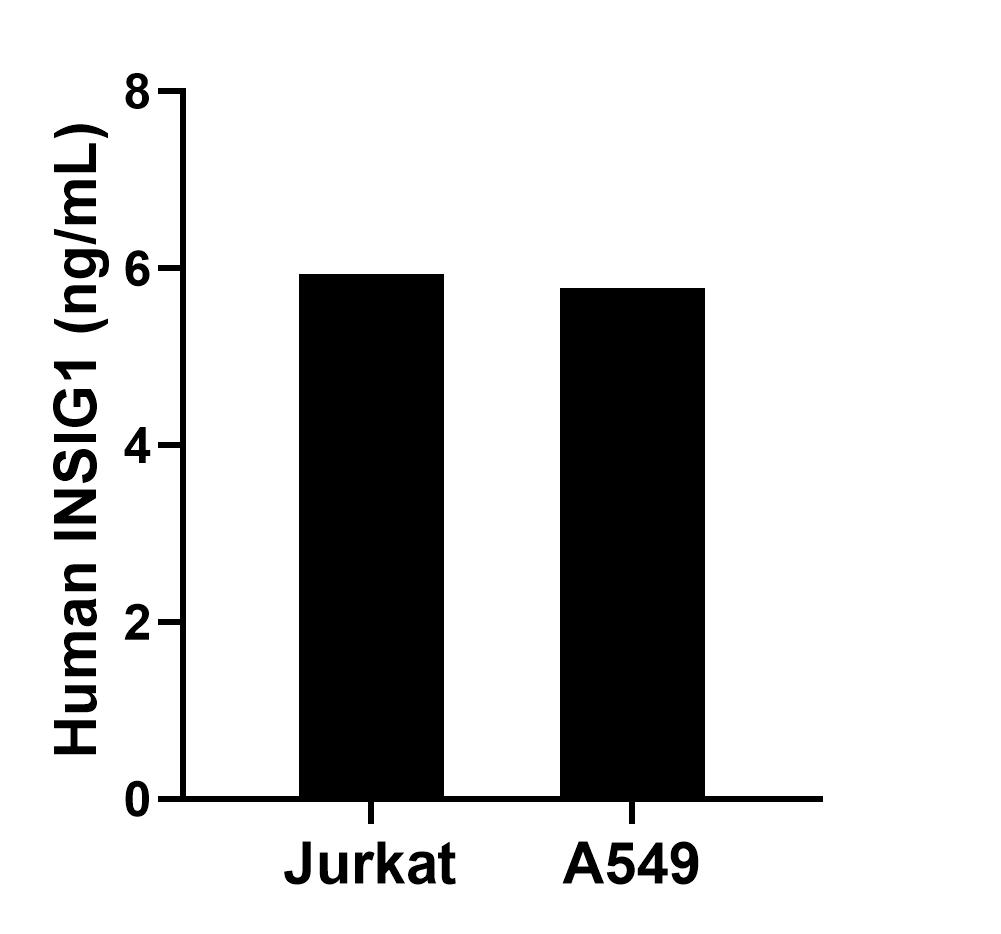 Sample test of MP50804-1