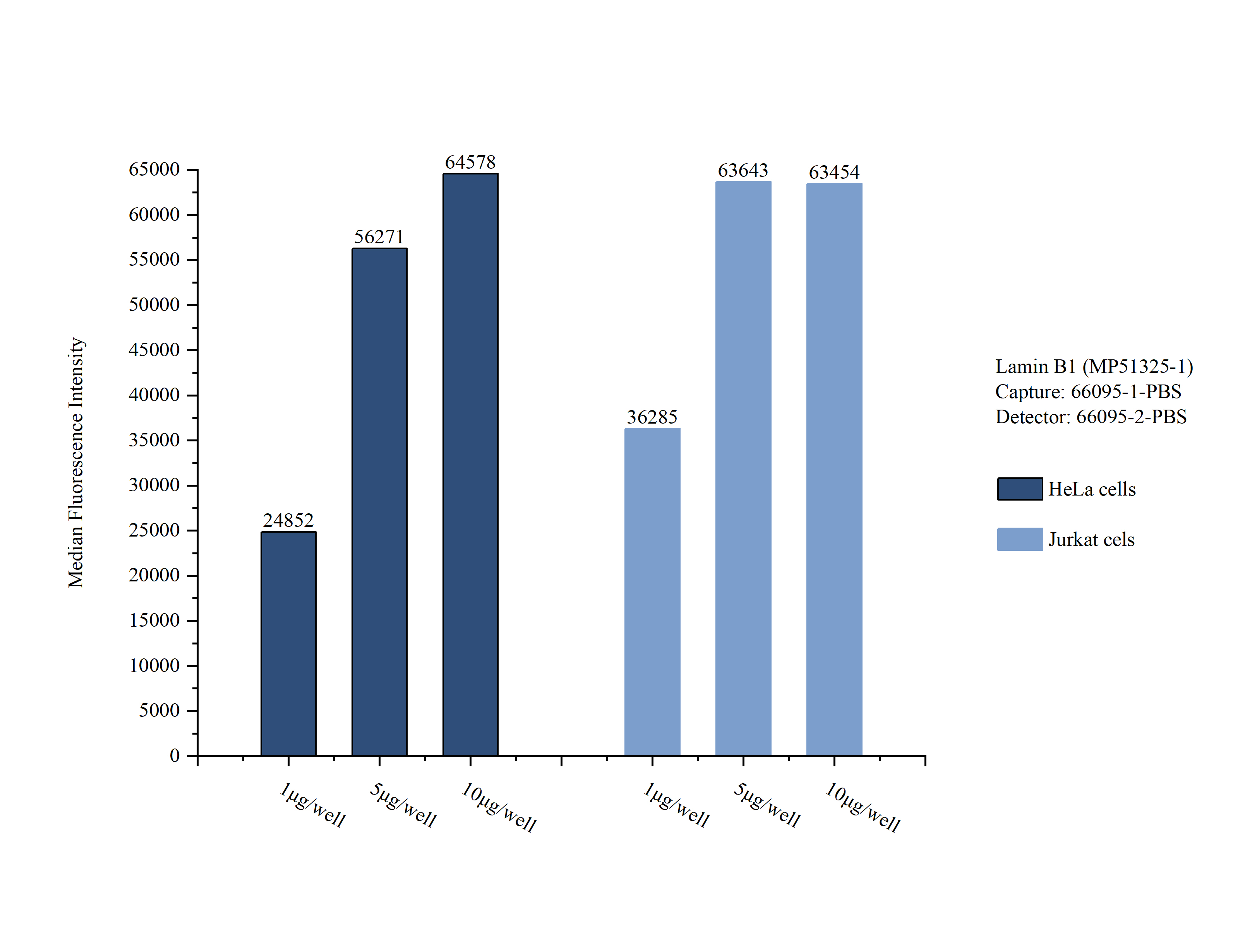 Sample test of MP51325-1, Lamin B1 Monoclonal Matched Antibody Pair, PBS Only. Capture antibody: 66095-1-PBS. Detection antibody: 66095-2-PBS. Sample test of MP51325-1, Lamin B1 Monoclonal Matched Antibody Pair, PBS Only. Capture antibody: 66095-1-PBS. Detection antibody: 66095-2-PBS.
