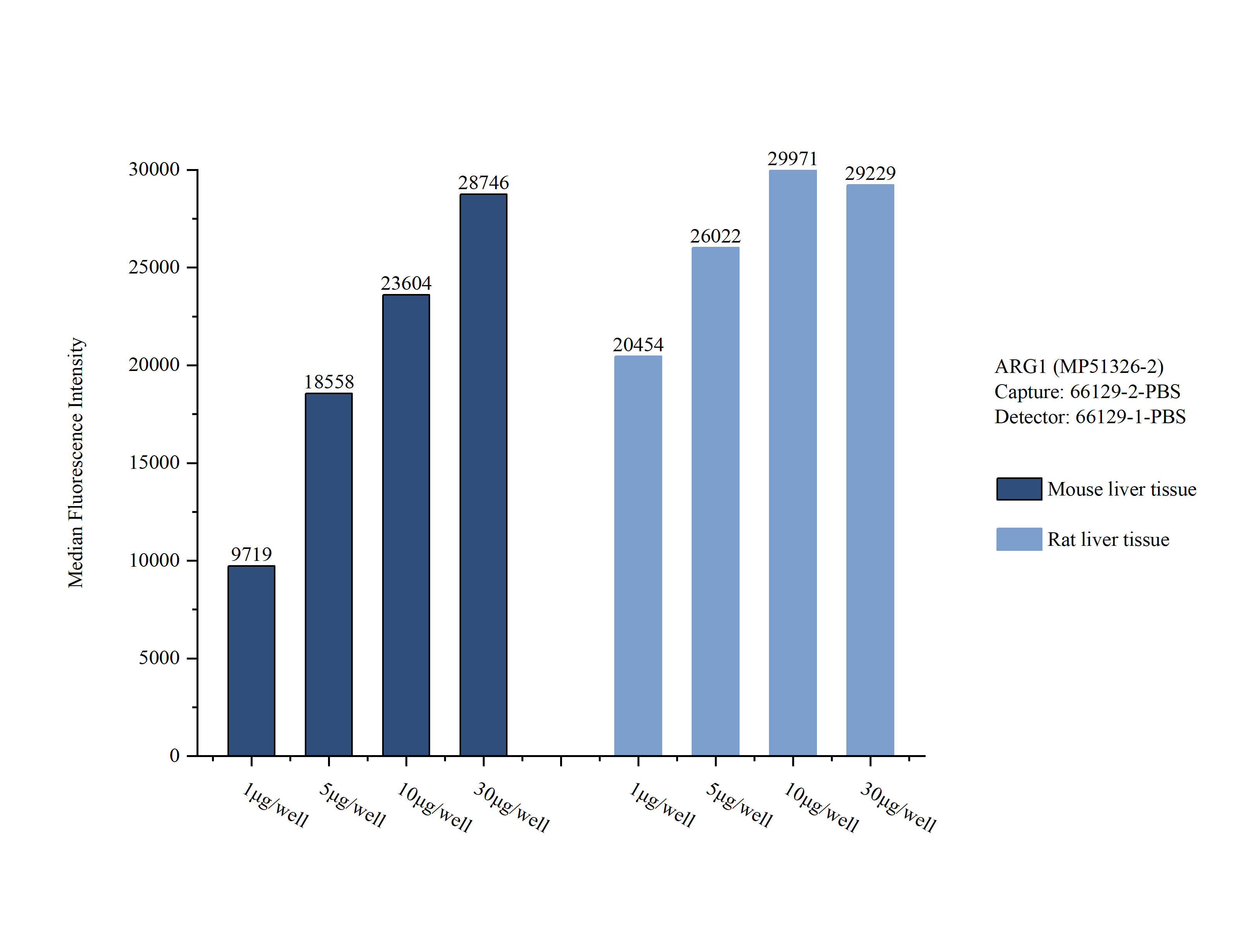 Sample test of MP51326-2, Arginase-1 Monoclonal Matched Antibody Pair, PBS Only. Capture antibody: 66129-2-PBS. Detection antibody: 66129-1-PBS. Sample test of MP51326-2, Arginase-1 Monoclonal Matched Antibody Pair, PBS Only. Capture antibody: 66129-2-PBS. Detection antibody: 66129-1-PBS.