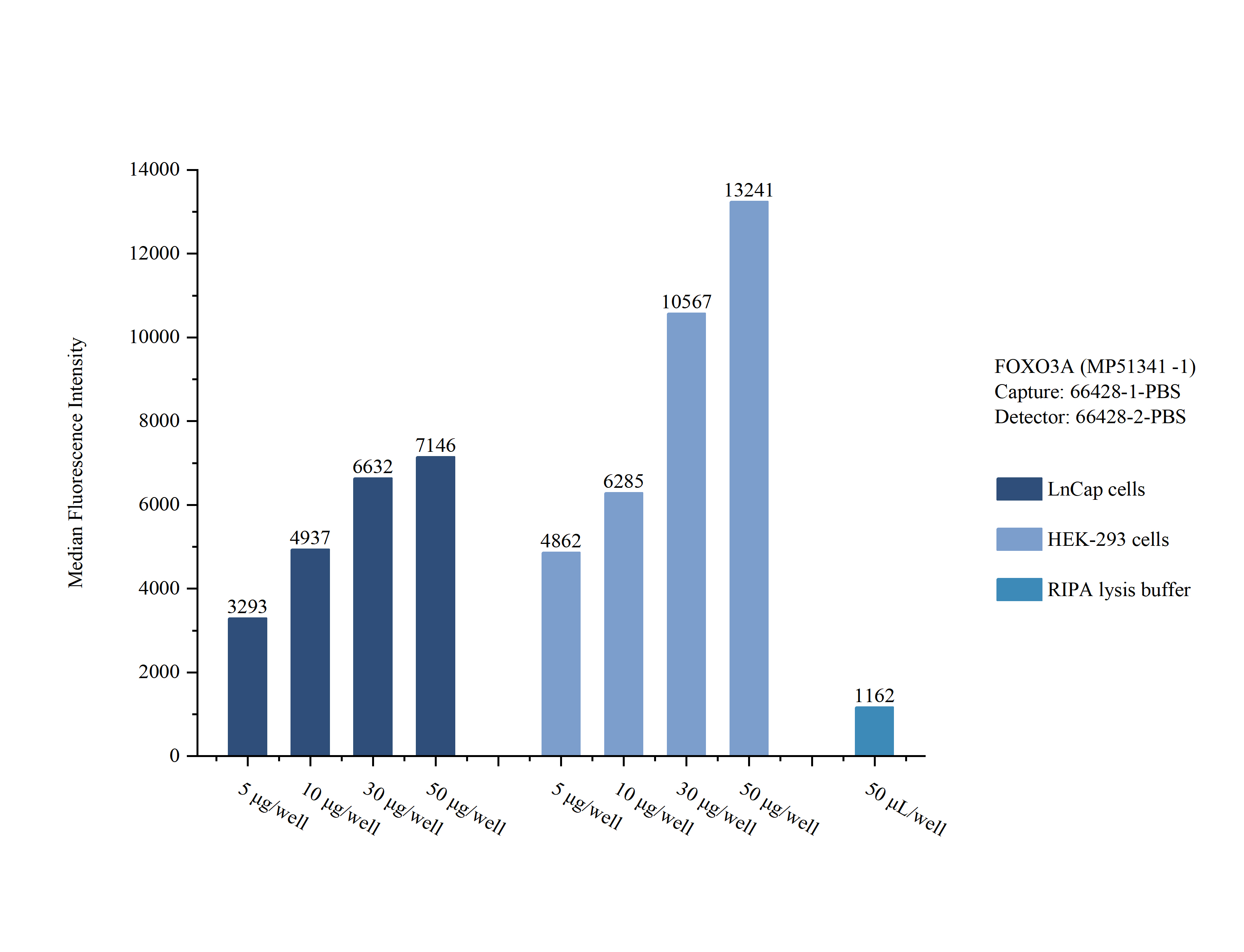 Sample test of MP51341-1, FOXO3A Monoclonal Matched Antibody Pair, PBS Only. Capture antibody: 66428-1-PBS. Detection antibody: 66428-2-PBS. Sample test of MP51341-1, FOXO3A Monoclonal Matched Antibody Pair, PBS Only. Capture antibody: 66428-1-PBS. Detection antibody: 66428-2-PBS.