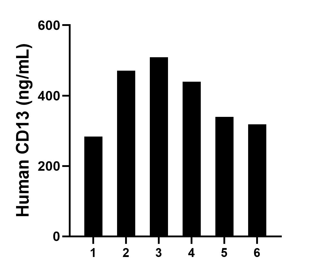Plasma of six individual healthy human donors was measured. The human CD13 concentration of detected samples was determined to be 393.55 ng/mL with a range of 283.65 - 508.88 ng/mL. Plasma of six individual healthy human donors was measured. The human CD13 concentration of detected samples was determined to be 393.55 ng/mL with a range of 283.65 - 508.88 ng/mL.