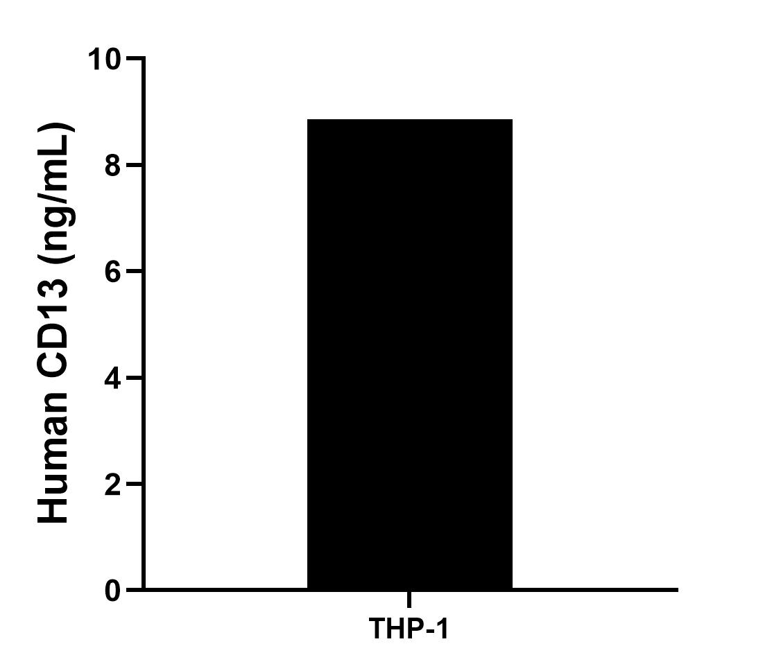 The mean CD13 concentration was determined to be 8.86 ng/mL in THP-1 cell extract based on a 1.2 mg/mL extract load. The mean CD13 concentration was determined to be 8.86 ng/mL in THP-1 cell extract based on a 1.2 mg/mL extract load.