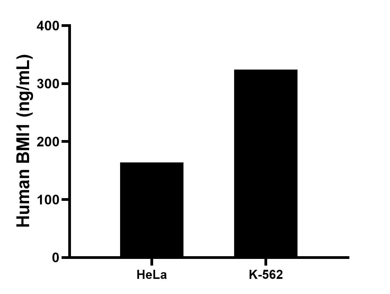 The mean BMI1 concentration was determined to be 164.00 ng/mL in HeLa cell extract based on a 1.2 mg/mL extract load and 324.00 ng/mL in K-562 cell extract based on a 1.2 mg/mL extract load. The mean BMI1 concentration was determined to be 164.00 ng/mL in HeLa cell extract based on a 1.2 mg/mL extract load and 324.00 ng/mL in K-562 cell extract based on a 1.2 mg/mL extract load.