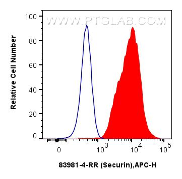 FC experiment of Jurkat using 83981-4-RR