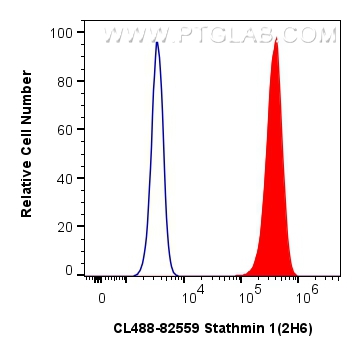 FC experiment of HeLa using CL488-82559