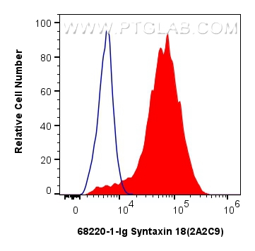 Syntaxin 18