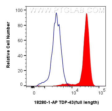 FC experiment of SH-SY5Y using 18280-1-AP