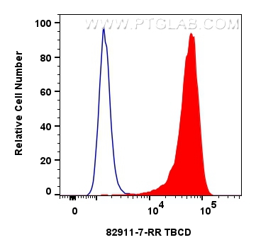 FC experiment of MCF-7 using 82911-7-RR