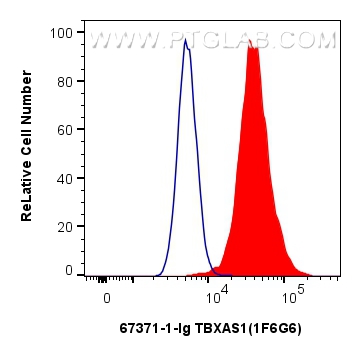 FC experiment of A549 using 67371-1-Ig (same clone as 67371-1-PBS)