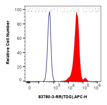 FC experiment of HeLa using 83780-3-RR (same clone as 83780-3-PBS)