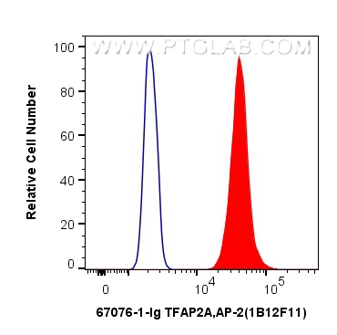 FC experiment of A431 using 67076-1-Ig (same clone as 67076-1-PBS)