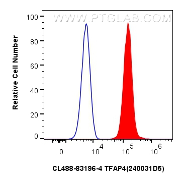 FC experiment of HeLa using CL488-83196-4