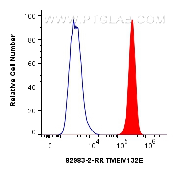 TMEM132E