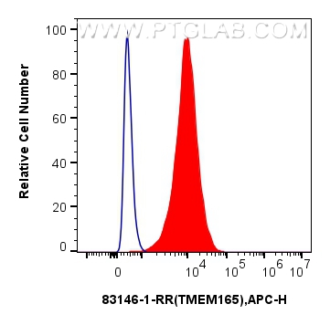 FC experiment of HepG2 using 83146-1-RR (same clone as 83146-1-PBS)