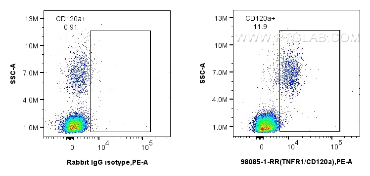 FC experiment of human peripheral blood leukocytes using 98085-1-RR