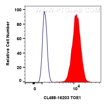 FC experiment of HeLa using CL488-16203